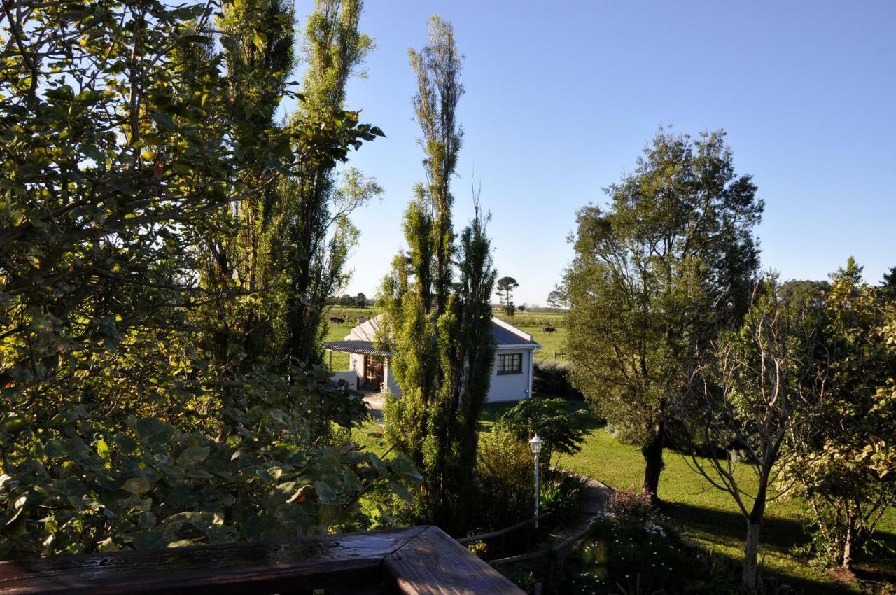 Tsitsikamma Gardens Cottages Self-Catering Cottages Sanddrif Екстериор снимка